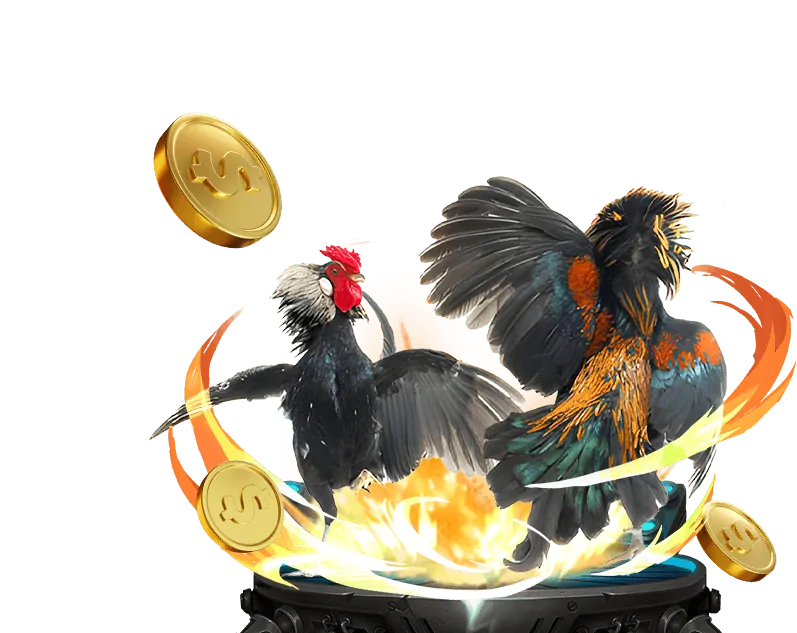 Chương trình đặc quyền VIP 333win