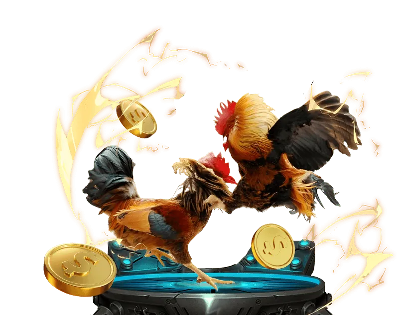 Lợi ích khi chơi đá gà tại 333win